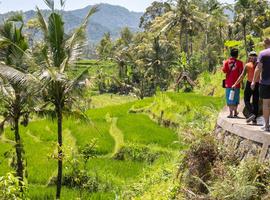 Bali & Lombok Adventure - 15 Days