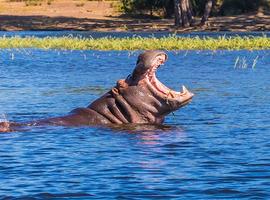 Cape Town to Kenya - 49 Days