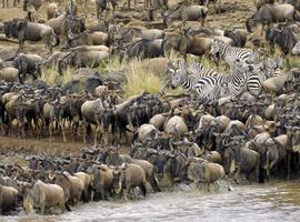 Africa Encompassed Northbound - 64 Days