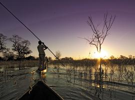 Southern Africa Highlights - 18 Days