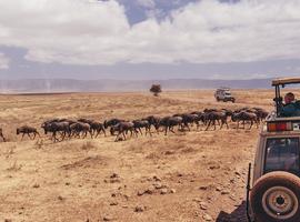 Road to Zanzibar - 12 Days