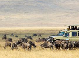 18 to 35s Real East Africa & Zanzibar - 13 Days