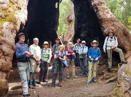 Hike the Bibbulmun Track: Walpole to Denmark - 8 Days