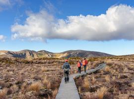 Walk New Zealand's Tongariro Crossing - 5 Days