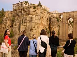 Andalusia Highlights: Malaga & Seville - 8 Days