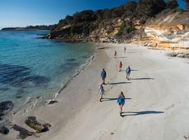 Tasmania's Maria Island Walk (Non-Portered) - 4 Days