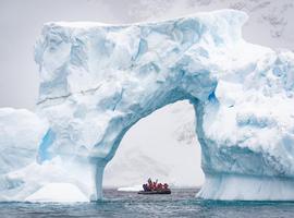 Exploring Antarctica's Spring (Ocean Albatros) - 11 Days
