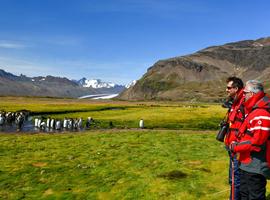 Ultimate New Year's: Falklands, South Georgia & Antarctic Circle (Ocean Albatros)  - 23 Days