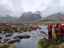 Falkland Islands, South Georgia & Antarctica (Ocean Victory) - 20 Days