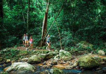 Image 1 of 14