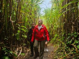 Premium Costa Rica: Tortuguero and Caribbean Coast - 8 Days