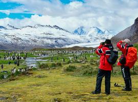 Extended Falklands, South Georgia and Antarctica (Ocean Nova) - 21 Days