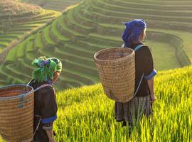 Thailand Independent Short Break: Chiang Mai & Hilltribe Trek - 5 Days