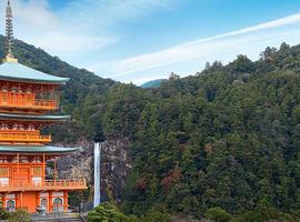 Japan: Koya-san & Kumano Kodo Trek - 8 Days