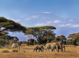 Classic East Africa - 13 Days