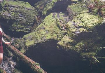 Image 1 of 21