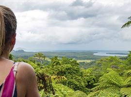 Daintree & Cape Tribulation Adventure - 6 Days
