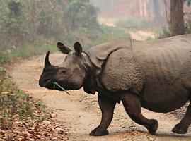 Nepal Short Break: Chitwan National Park - 4 Days