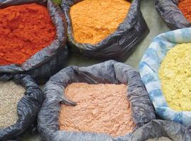 Ecuador Independent Short Break: Amazon Jungle Adventure - 4 Days