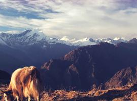 18 to 35s Essential Nepal - 9 Days