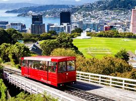 18 to 35s One Week in New Zealand: North Island - 8 Days