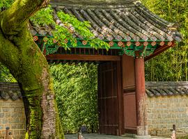 18 to 35s Essential South Korea - 9 Days