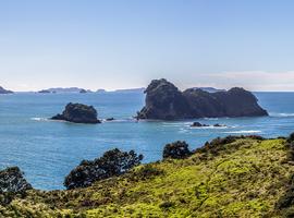 New Zealand North to South Island Adventure - 11 Days