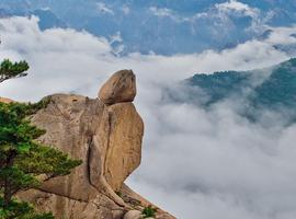 Premium South Korea - 9 Days