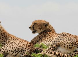 18 to 35s Essential East Africa - 10 Days