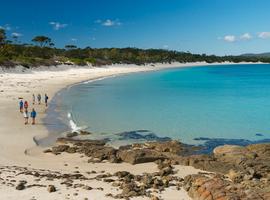 Tasmania's Maria Island Walk (Portered) - 4 Days