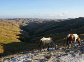Indonesia: Sumba Island Discovery - 7 Days