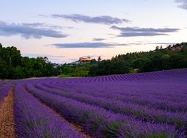 Best of France - 8 Days