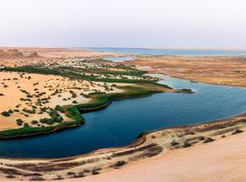 Egypt Short Break: Cairo to Fayoum - 3 Days