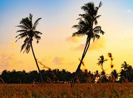 Maldives: Beyond the Beaches - 7 Days