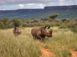 Namibia Highlights - 12 Days