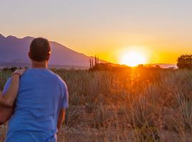 Premium Mexico in Depth - 17 Days