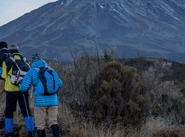 Serengeti & Kilimanjaro - Marangu Route - 15 Days