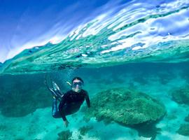West Coast & Karijini Adventure - 12 Days