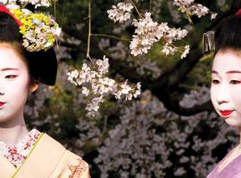 Japan Adventure - 20 Days