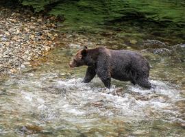 Wild Canada & Alaska: Vancouver to Anchorage - 16 Days