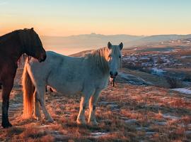 Bosnia & Herzegovina Adventure - 7 Days