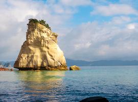 New Zealand Northern Trail - 10 Days