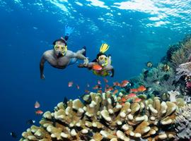 Cairns to Sydney Adventure - 14 Days
