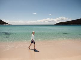 Best of Tasmania - 9 Days