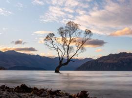 Complete New Zealand Adventure - 19 Days