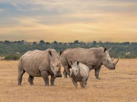 East Africa Safari Adventure - 18 Days
