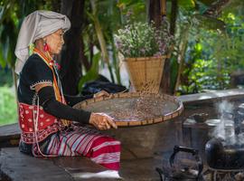 Thailand Adventure - 21 Days