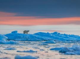 Four Arctic Islands: The Northbound Journey (Ocean Albatros) - 13 Days