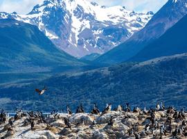 Polar Circle Quest - 12 Days