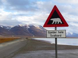 Wild Wonders of the Arctic - 8 Days